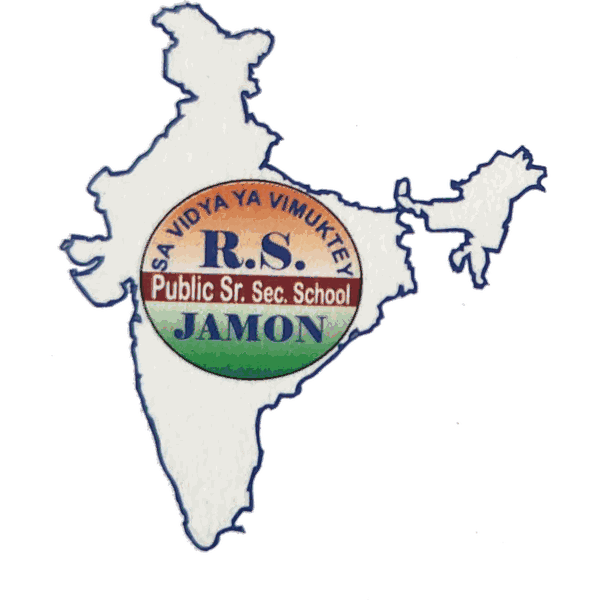 R.S. Public School logo